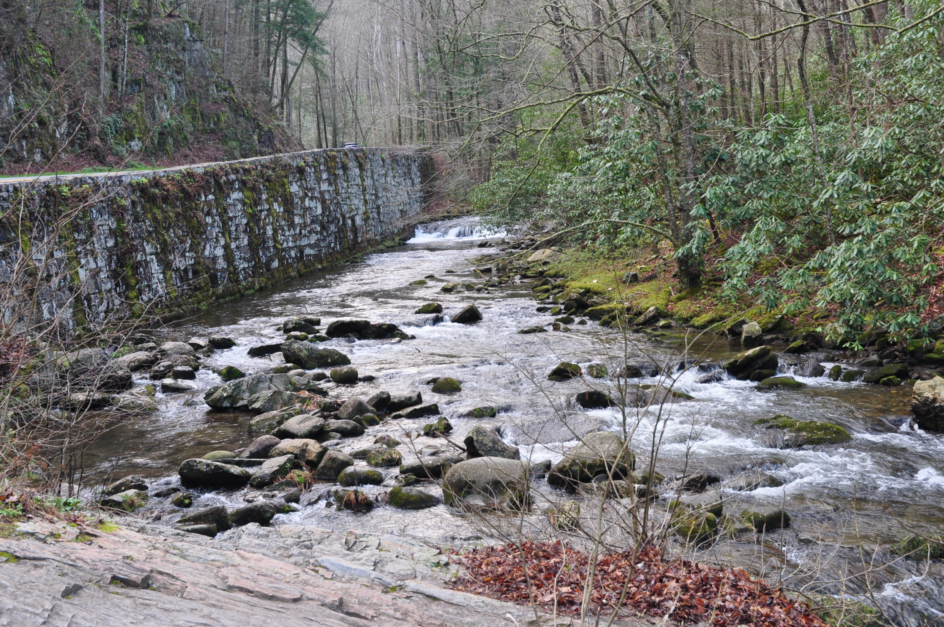 Photography of nature